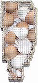The Prison of My Fertility, click to zoom The Prison of My Fertility','Mixed media: wire mesh, distressed twine and egg shells, 4¼" x 9" x 3¼"
