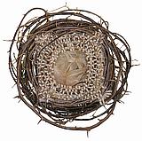 Nest IV','Mixed media: distressed twine, wire mesh, twigs and feathers, 8�" x 8" x 4" 