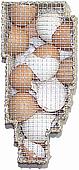  The Prison of My Fertility','Mixed media: wire mesh, distressed twine and egg shells, 4�" x 9" x 3�" 